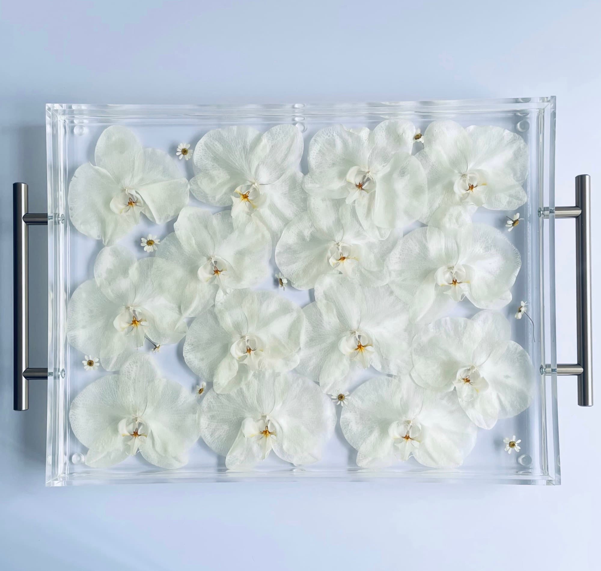 Clear Rectangular Tray